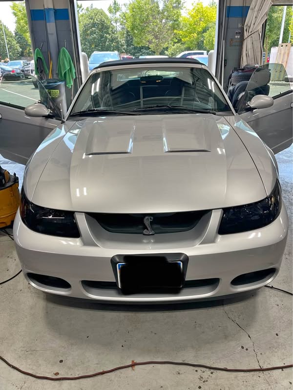 2004 Ford Mustang - Cobra SVT Convertible 2D