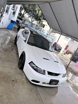 2004 Ford Mustang - Cobra SVT Coupe 2D