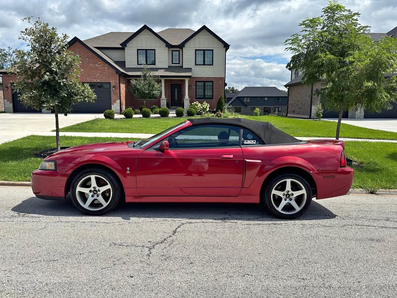 2003 Ford Mustang - Cobra SVT Convertible 2D
