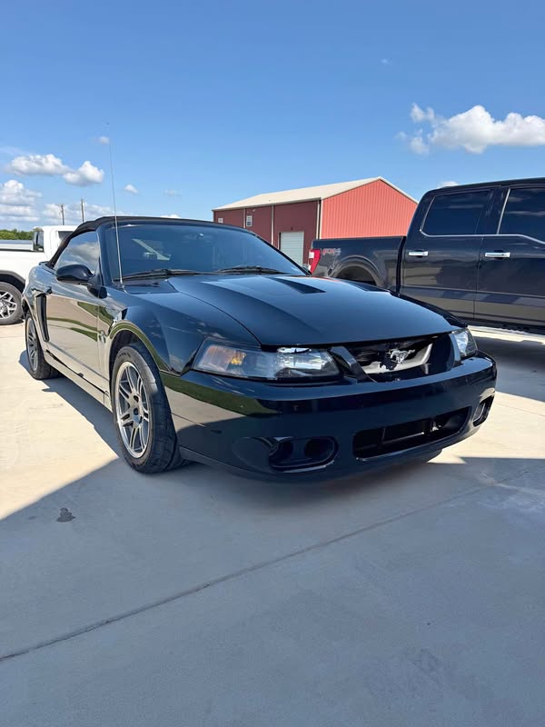 2003 Ford Mustang - Cobra SVT Convertible 2D