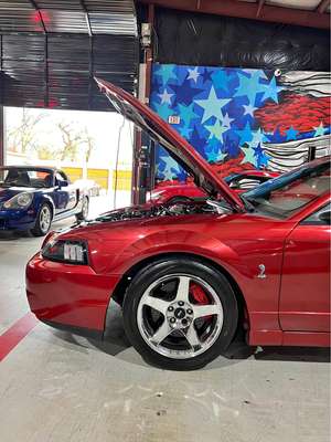 2004 Ford Mustang - Cobra SVT Convertible 2D