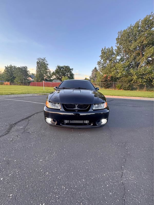 2003 Ford Mustang - Cobra SVT Coupe 2D