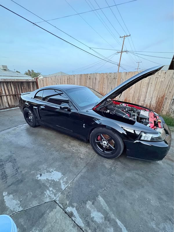 2004 Ford Mustang - Cobra SVT Coupe 2D