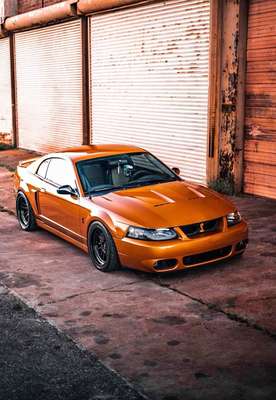2003 Ford mustang cobra terminator - Terminator Cobra
