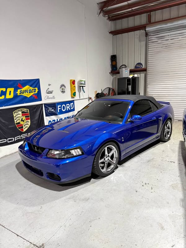 2003 Ford Mustang - Cobra