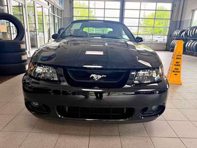 2004 Ford Mustang - Cobra SVT Convertible 2D