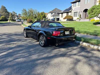 2003 Ford Mustang - Cobra SVT Convertible 2D