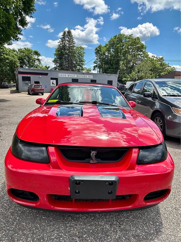 2003 Ford Mustang - Cobra SVT Convertible 2D