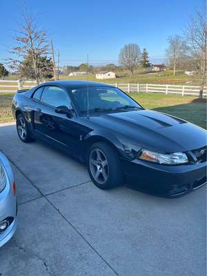 2003 Ford Mustang - Cobra SVT Coupe 2D