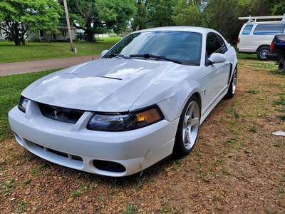 2003 Ford cobra mustang