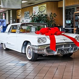 1960 Ford thunderbird base