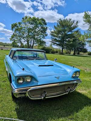 1959 Ford Thunderbird - Coupe 2D