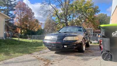 1988 Ford Thunderbird - Turbocoupe
