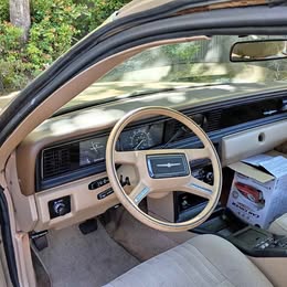 1983 Ford Thunderbird v6