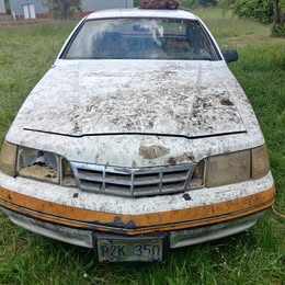 1988 Ford Thunderbird