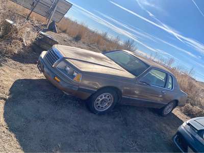 1985 Ford Thunderbird - LX Coupe 2D