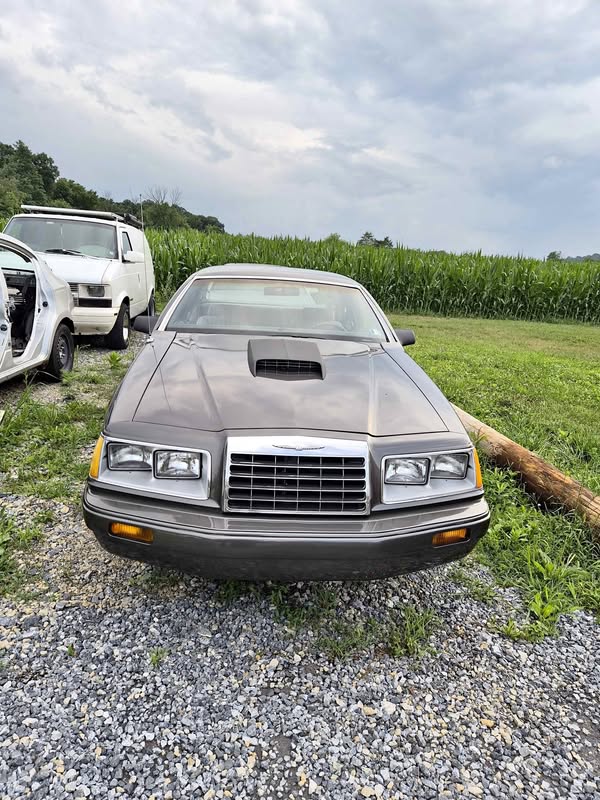 1984 Ford Thunderbird - LX Coupe 2D