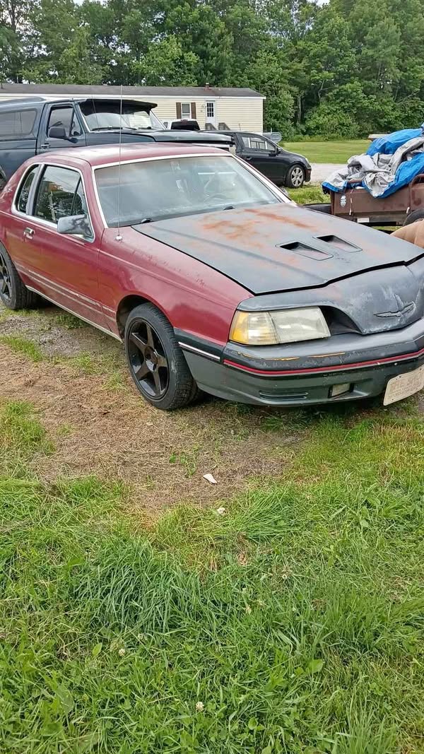 1984 Ford Thunderbird - Coupe 2D