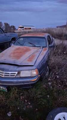 1983 Ford Thunderbird - Coupe 2D