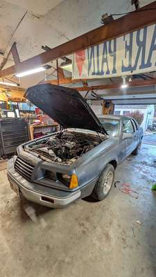 1985 Ford Thunderbird - LX Coupe 2D