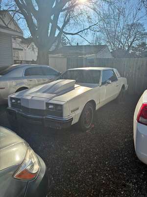 1982 Oldsmobile Toronado - Trofeo Coupe 2D
