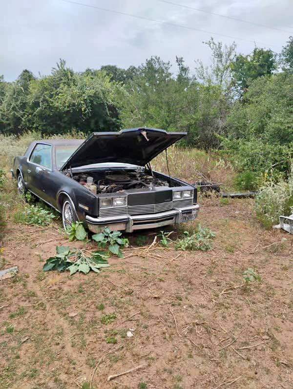 1982 Oldsmobile Toronado - Coupe 2D