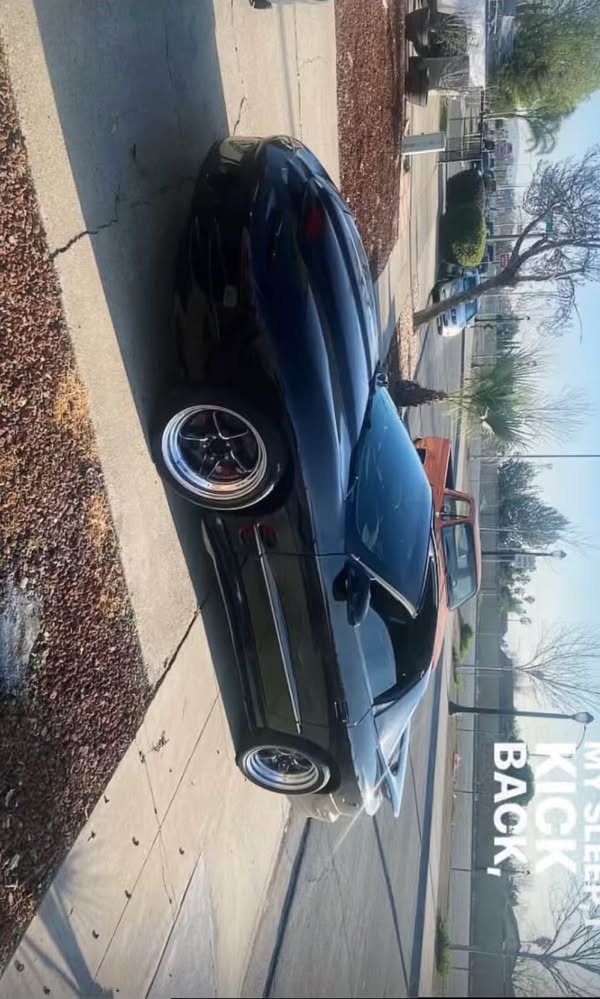 2002 Pontiac Firebird - Trans Am Coupe 2D