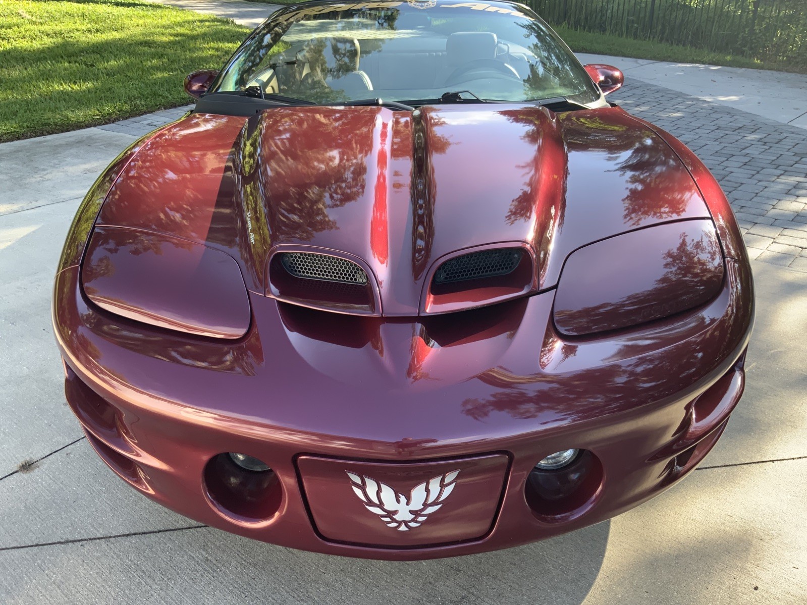 2002 Pontiac Firebird TRANS AM
