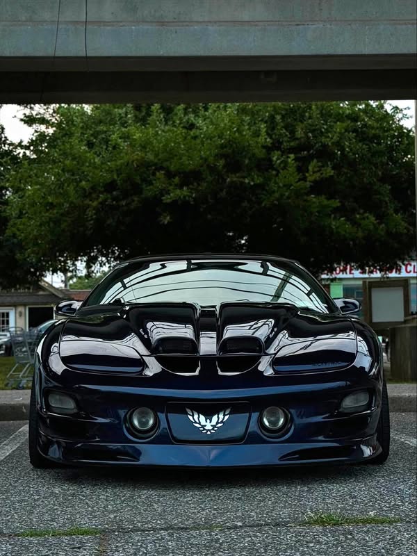 2000 Pontiac Firebird Trans Am