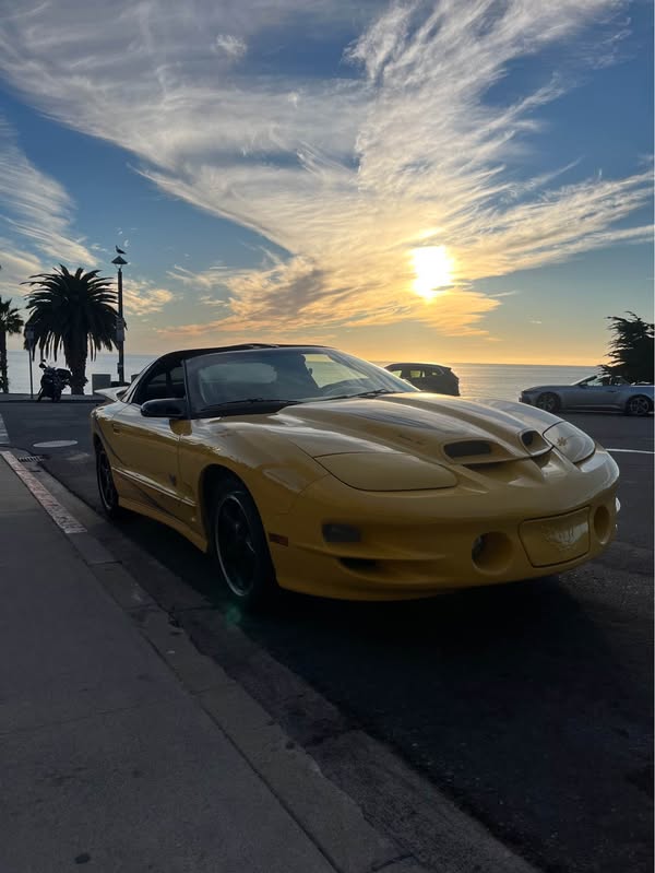 2002 Pontiac Firebird - Trans Am Hatchback 2D