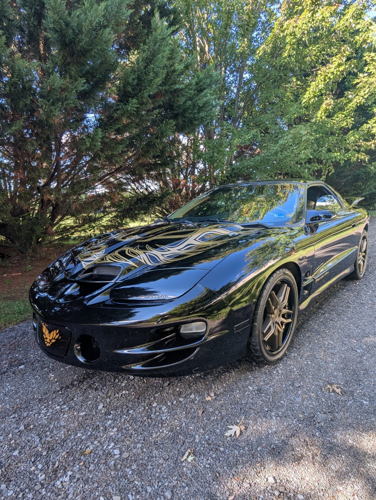1998 Pontiac Firebird FORMULA/TRANS AM