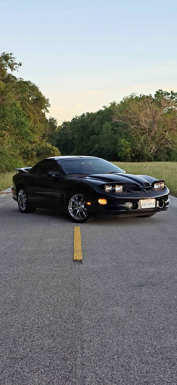 2002 Pontiac Firebird - Trans Am Hatchback 2D