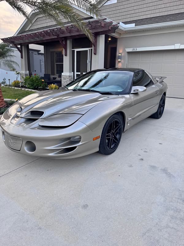 2002 Pontiac Firebird - Trans am