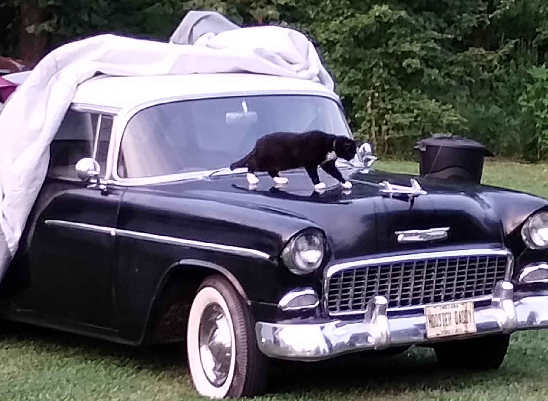 1955 Chevrolet Bel Air