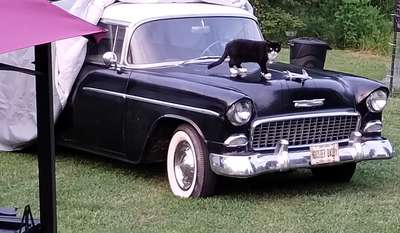 1955 Chevrolet Bel Air