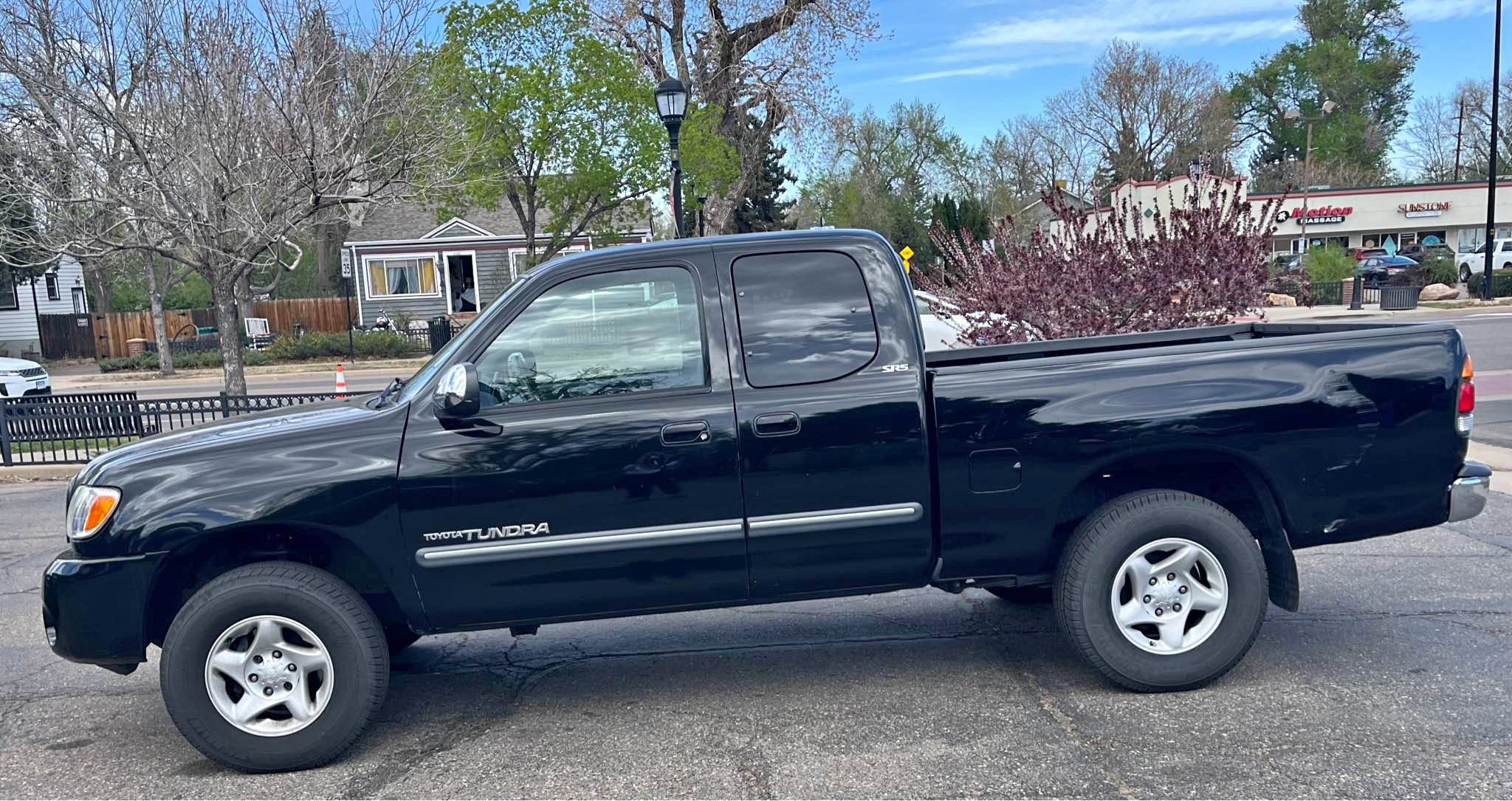 2003 Toyota Tundra Access Cab SR5 Pickup 4D 6 1\/2 ft