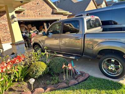 2004 Toyota Tundra CrewMax - Limited Pickup 4D 5 1\/2 ft