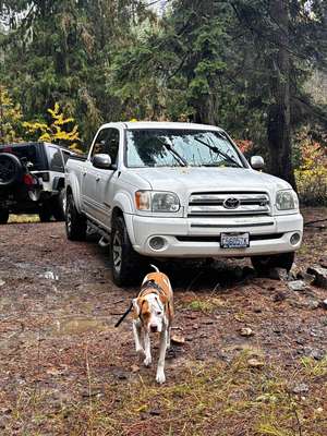 2006 Toyota Tundra CrewMax - Sr5