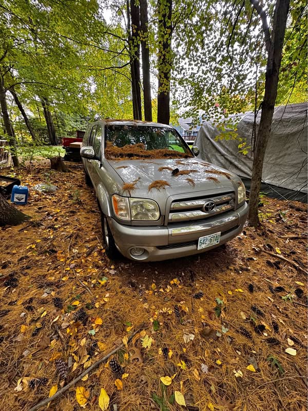 2006 Toyota Tundra Double Cab