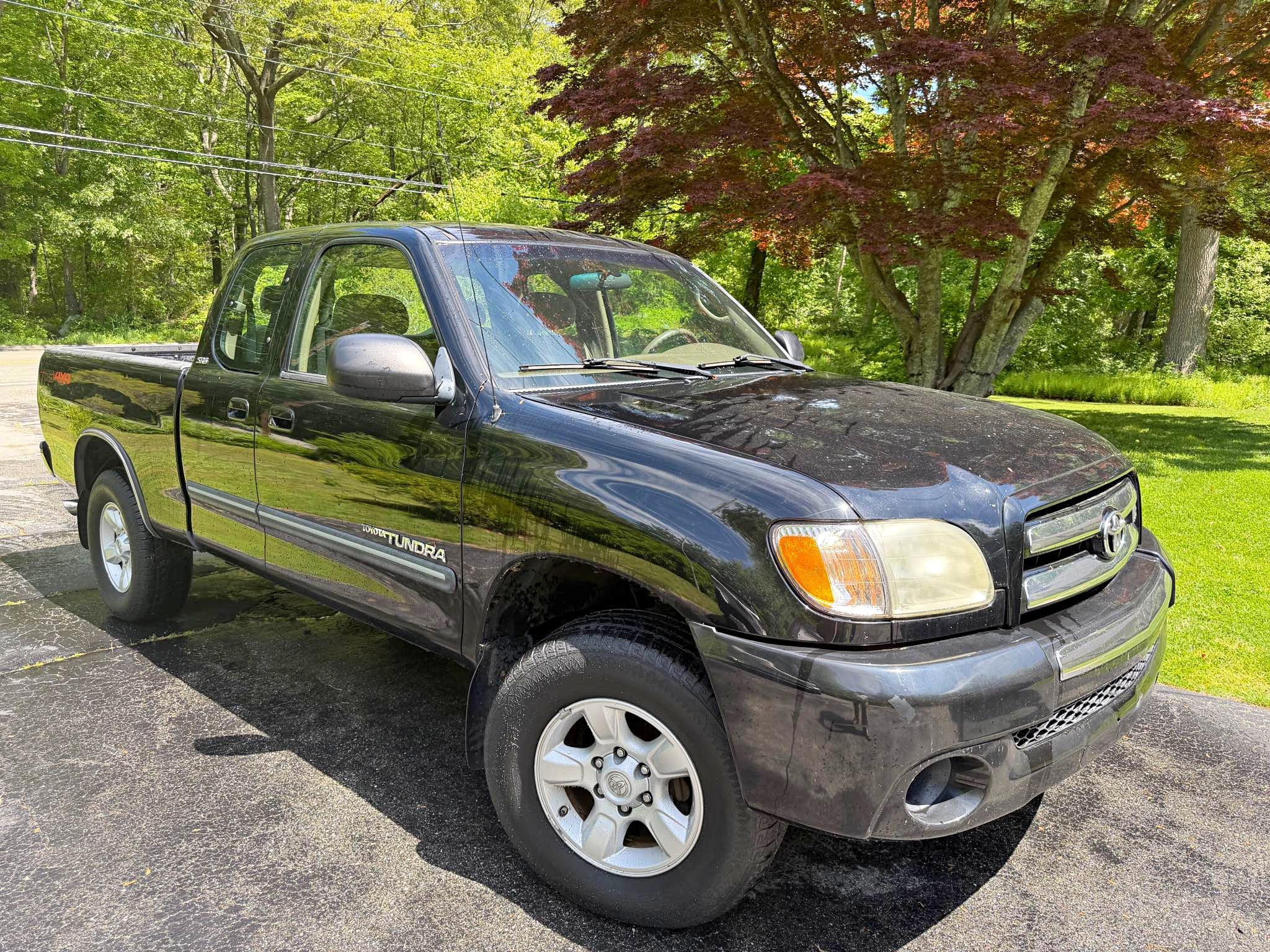 2003 Toyota Tundra TRD Pro Pickup 4D 6 1\/2 ft