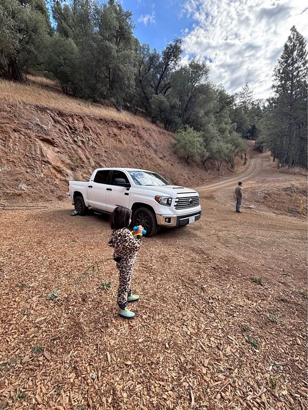 2021 Toyota Tundra - Pickup 4D 5 1\/2 ft