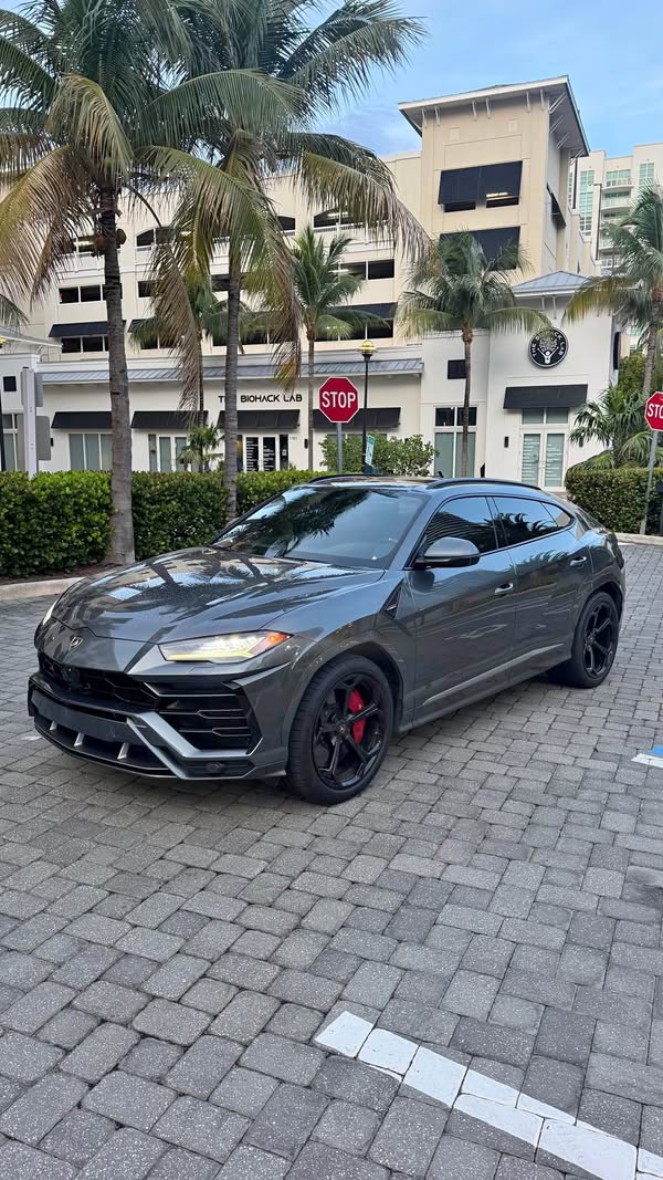 2019 Lamborghini Urus - Sport Utility 4D