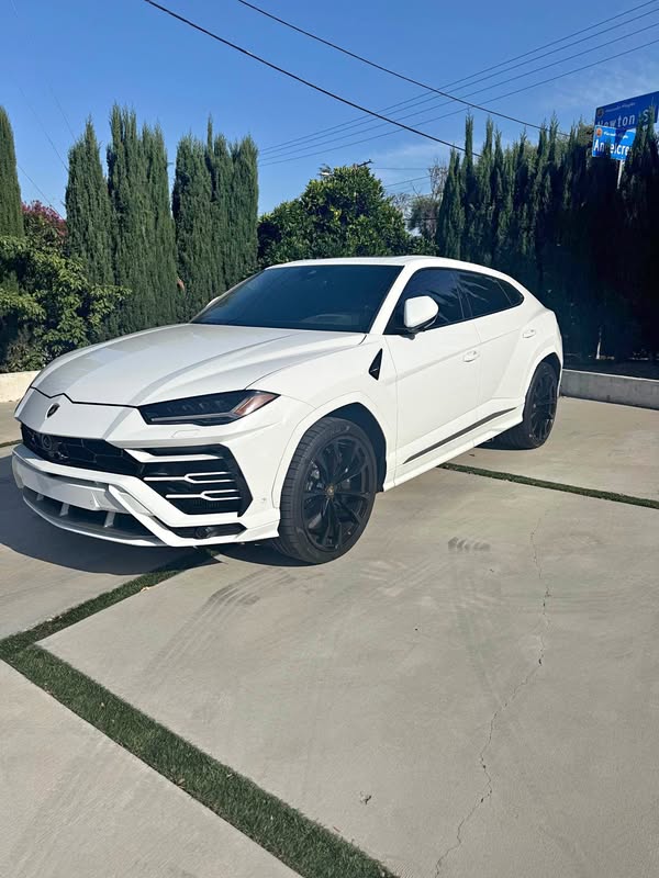 2022 Lamborghini Urus - Sport Utility 4D