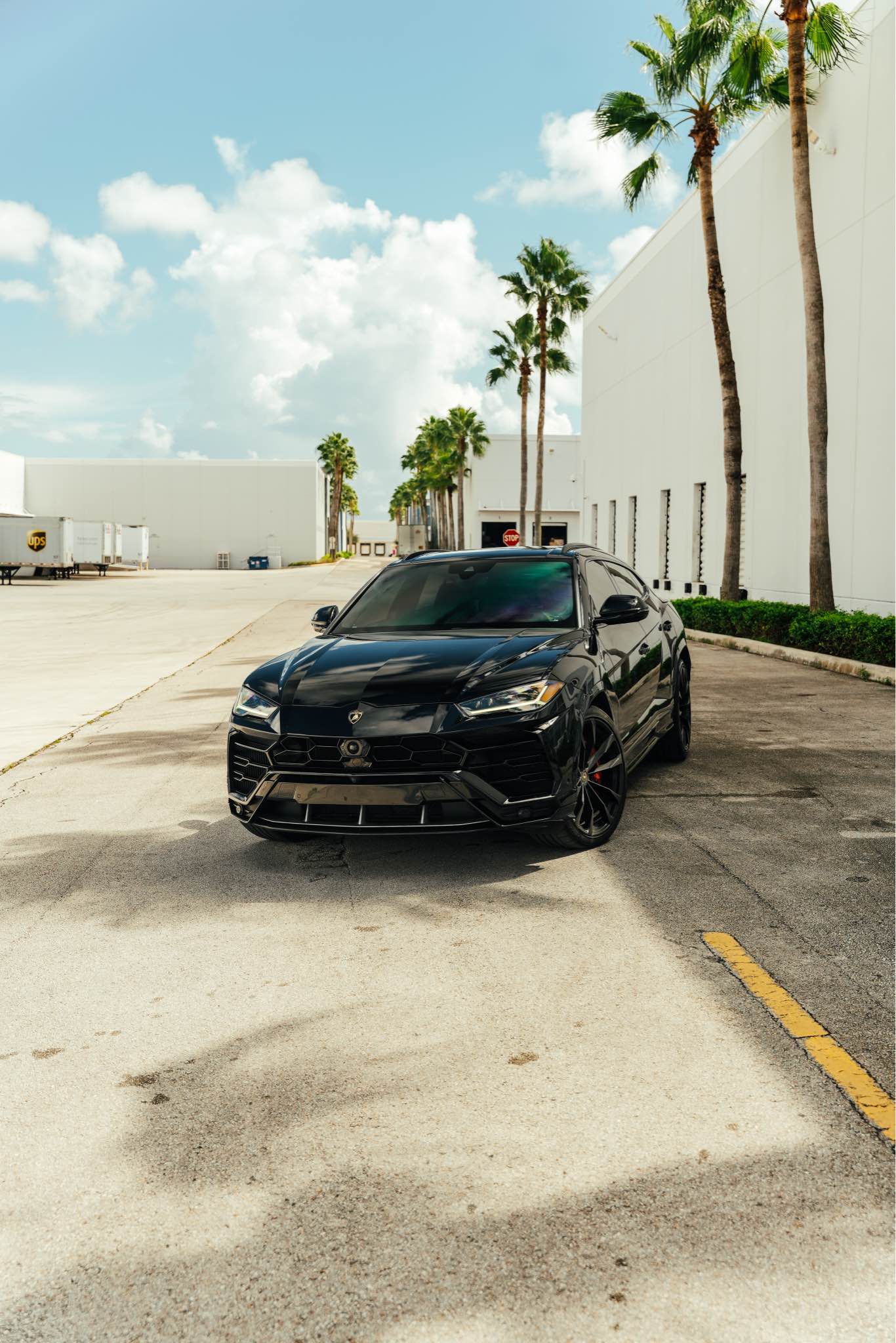 2024 Lamborghini Urus - Sport Utility 4D