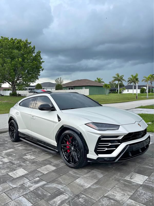 2019 Lamborghini Urus - Sport Utility 4D