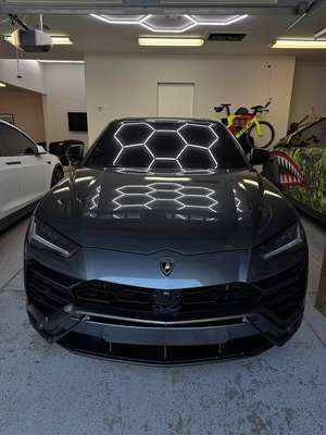 2019 Lamborghini Urus - Sport Utility 4D