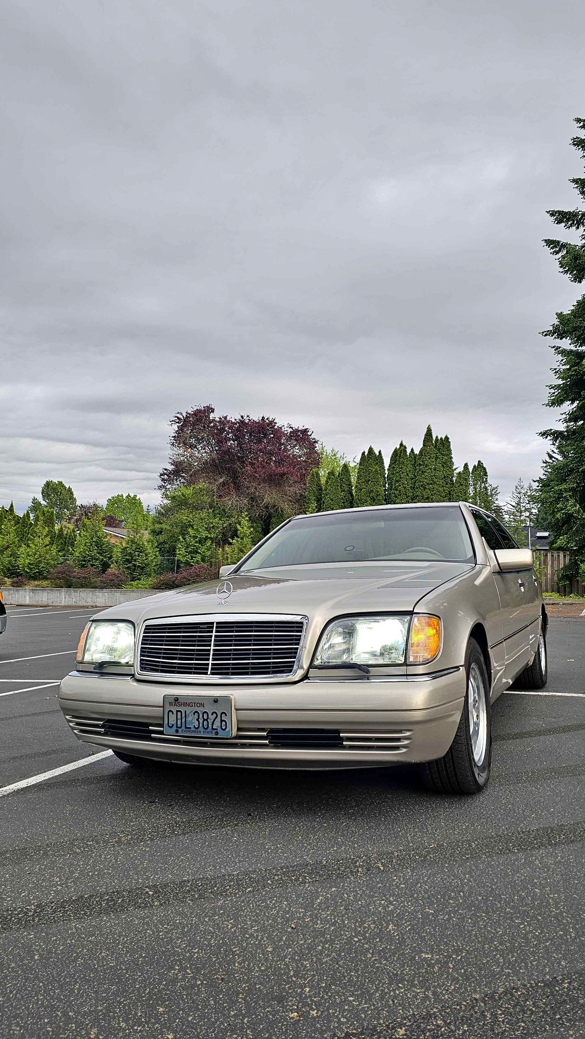 1999 Mercedes-Benz S-Class - S 420 Sedan 4D