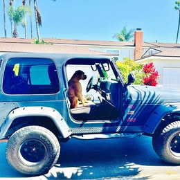 1999 Jeep Wrangler - Other