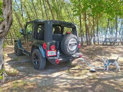 2005 Jeep Wrangler - \