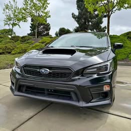 2019 Subaru wrx